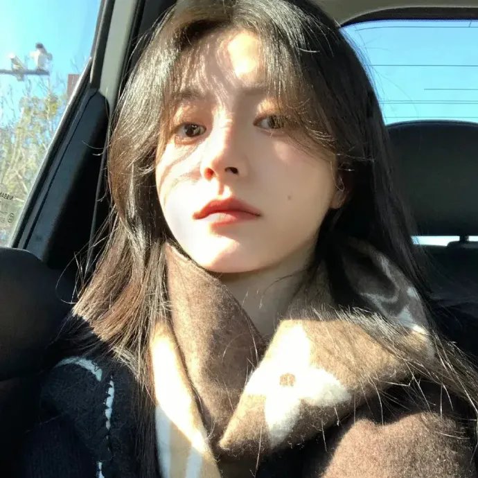 我的新野蛮女友